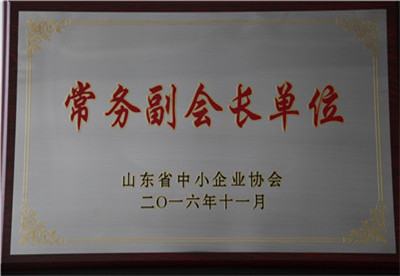 山東省中小企業(yè)協(xié)會(huì )常務(wù)副會(huì )長(cháng)單位